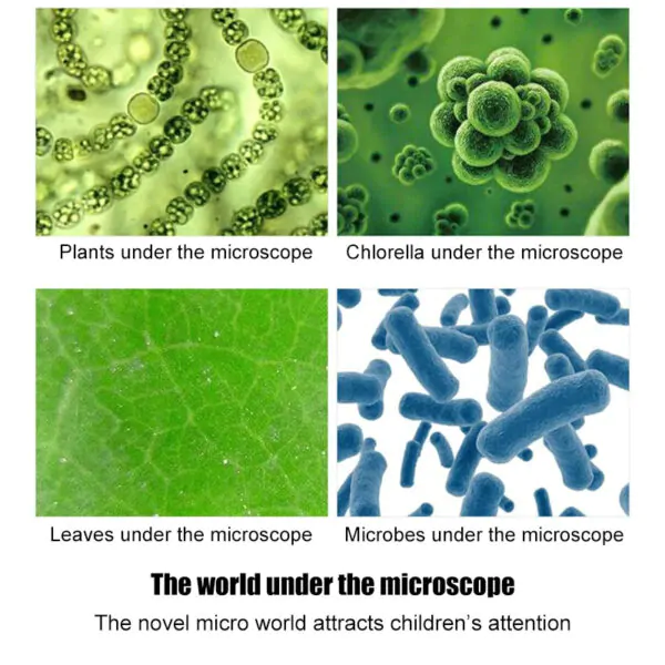 LED 100X 400X 1200X Lab Science Educational Toy Biological Microscope - Image 2